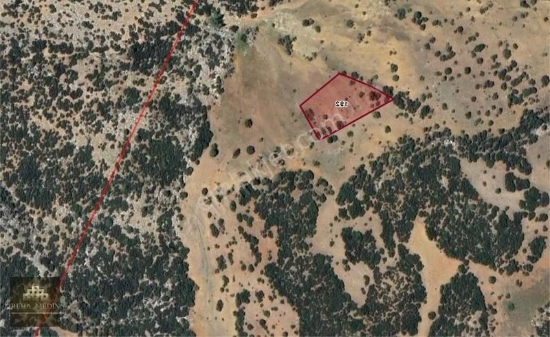 Tavas Yukarıbogaz Da Meraya Cepheli 2250 M2 Satılık Arazi