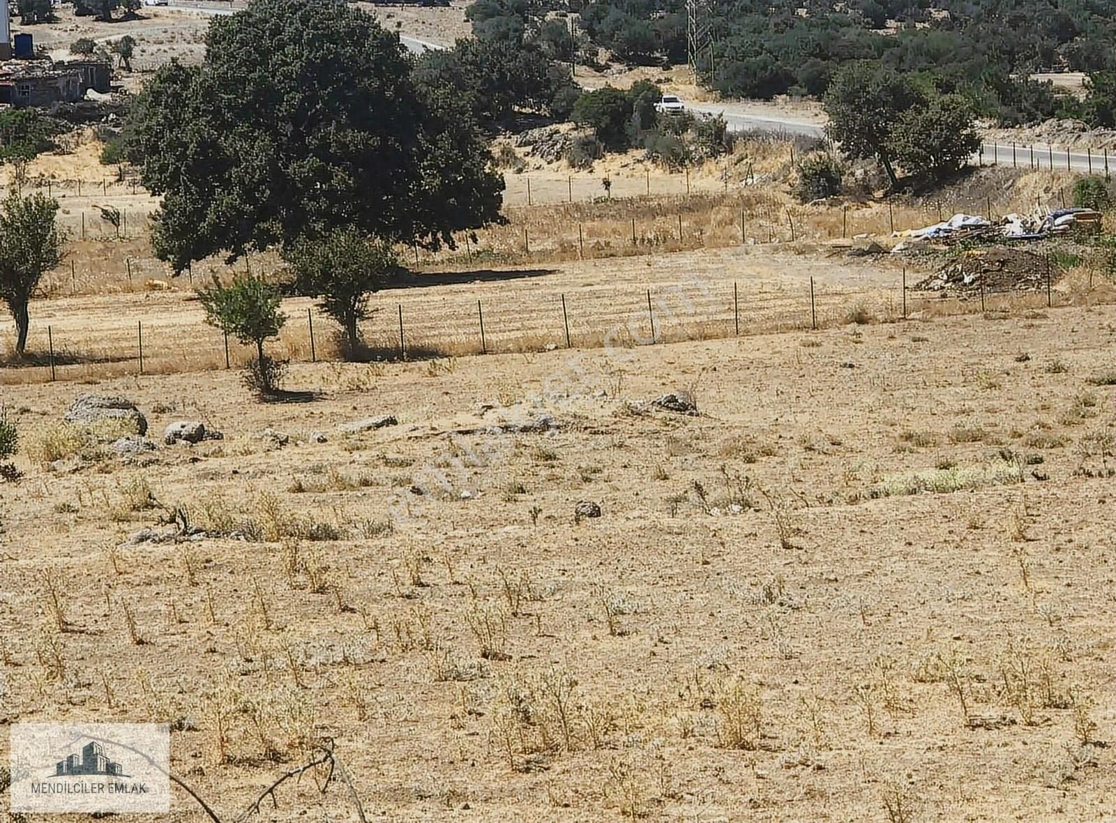 Ayvacık Merkeze 1 Km Mesafede Asfalta Sıfır Çiftlik Arazisi... - Görsel 18