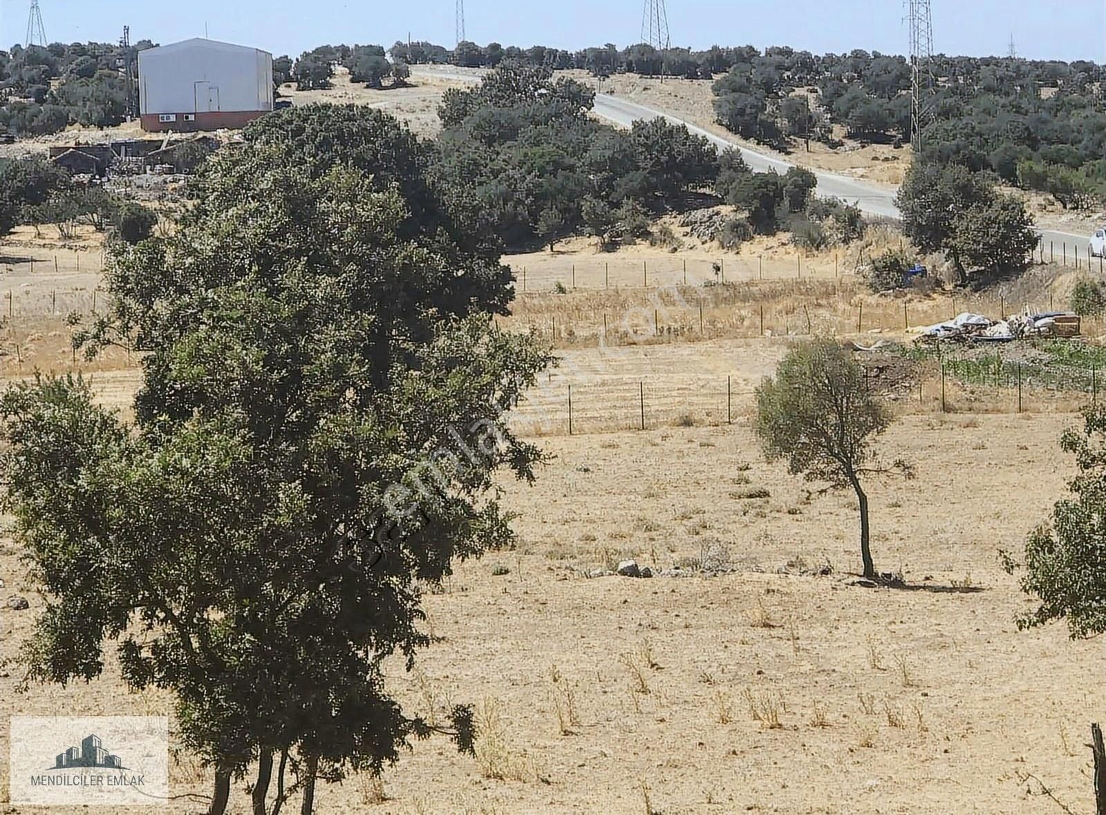 Ayvacık Merkeze 1 Km Mesafede Asfalta Sıfır Çiftlik Arazisi... - Görsel 3