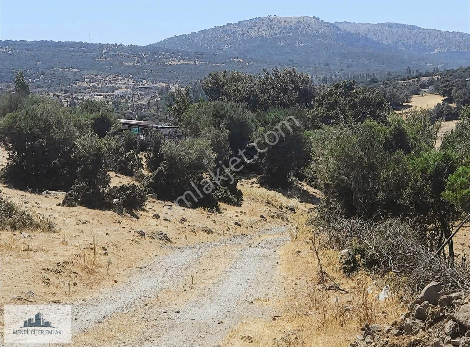 Ayvacık Merkeze 1 Km Mesafede Asfalta Sıfır Çiftlik Arazisi... - Görsel 8