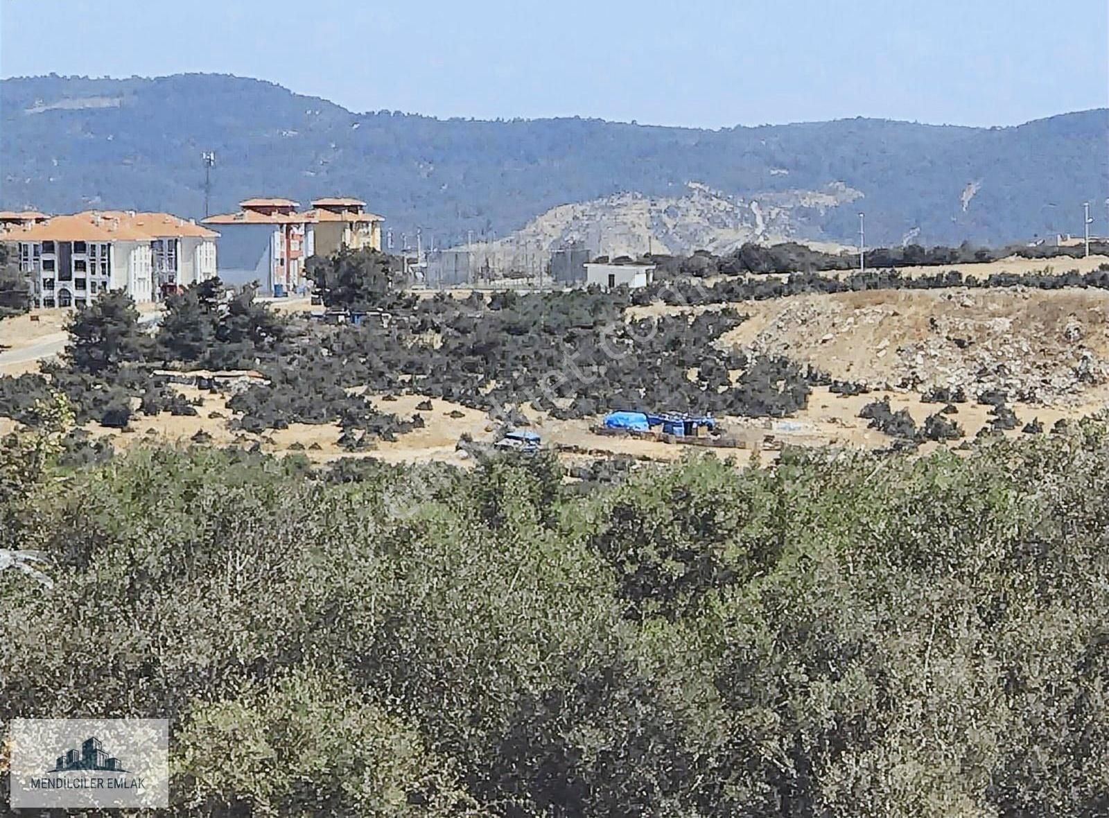 Ayvacık Merkeze 1 Km Mesafede Asfalta Sıfır Çiftlik Arazisi... - Görsel 2