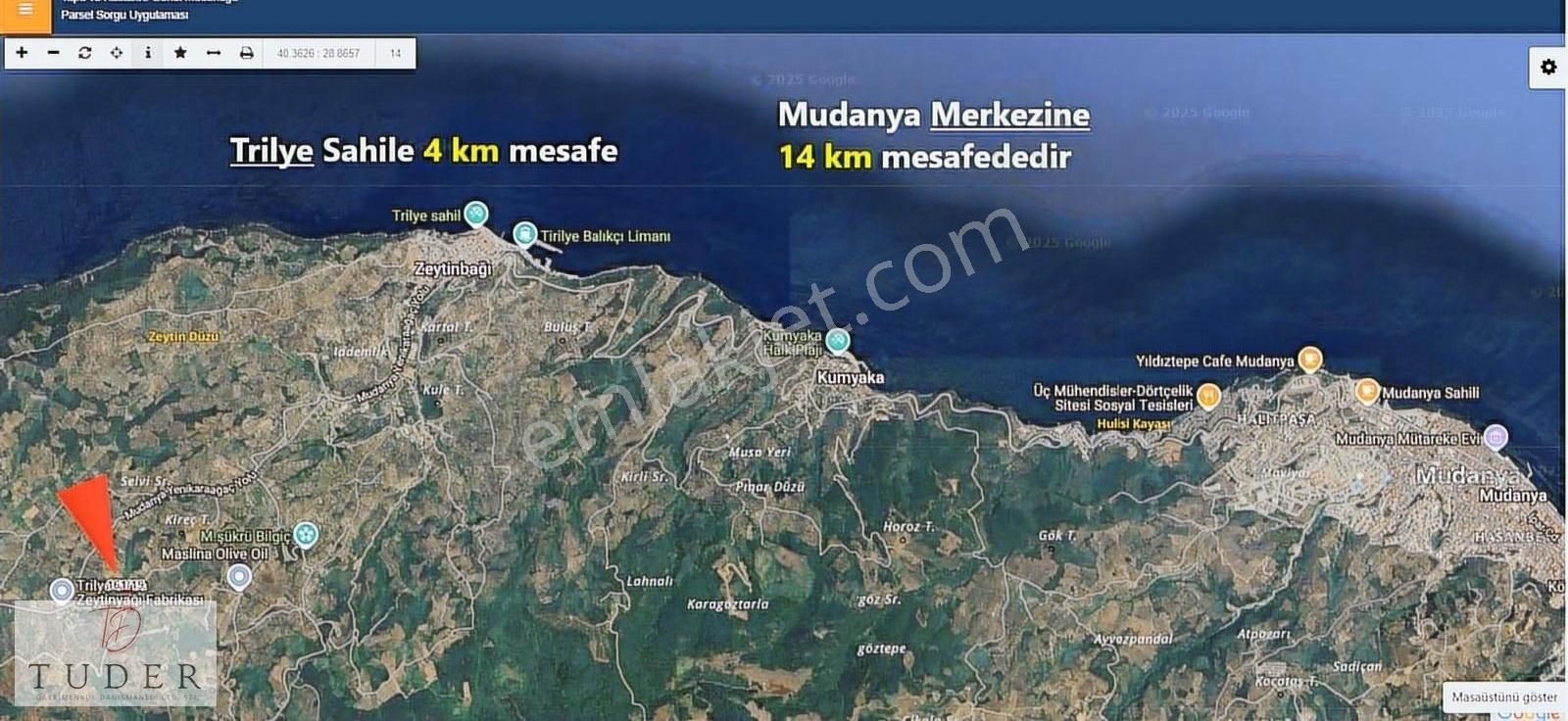 Mudanya Trilye'de Asfalta 300mt Mesafede Satılık Zeytinlik - Görsel 3