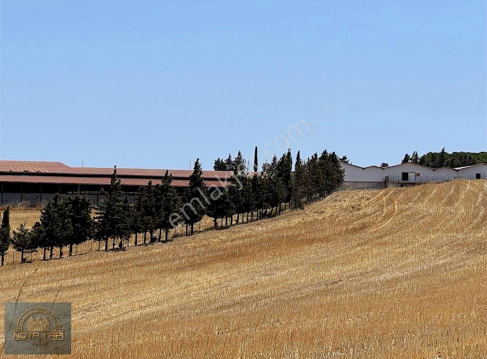 Köye Çok Yakın 1250 M2 Etrafı Çevrilebilir Fırsat Parseller