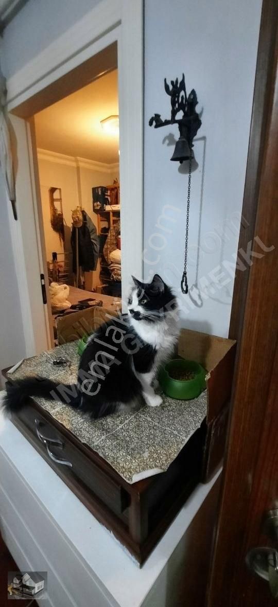 Eyüp İslambeyde Düz Konumda Satılık 2+1 Daire