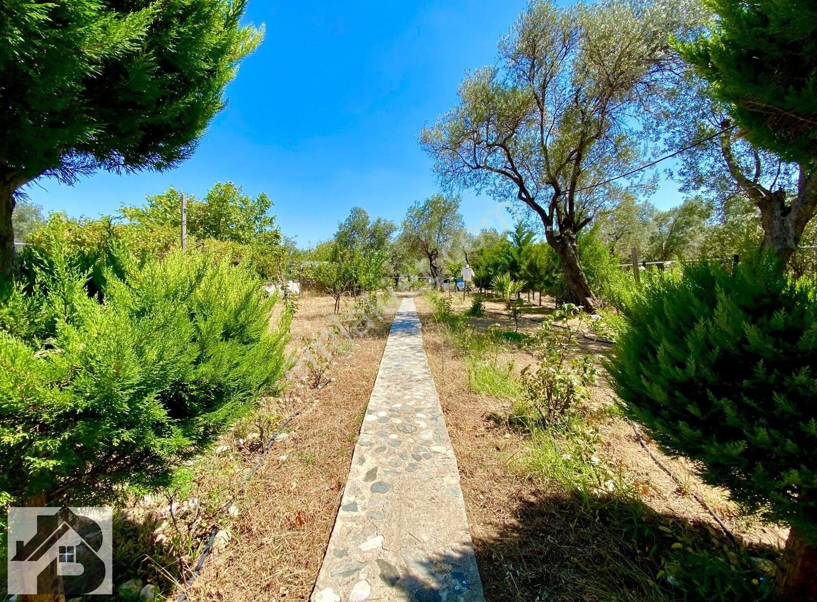 ⫸sadece Best'ten⫷kaz Dağlarının Eteğinde Müstakilev Hobi Bahçesi - Görsel 6