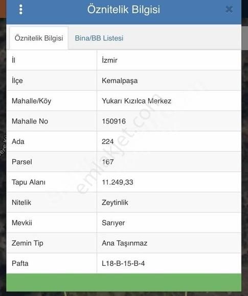Kemalpaşa Yukarıkızılca'da 11.250 M2 Satılık Zeytinlik