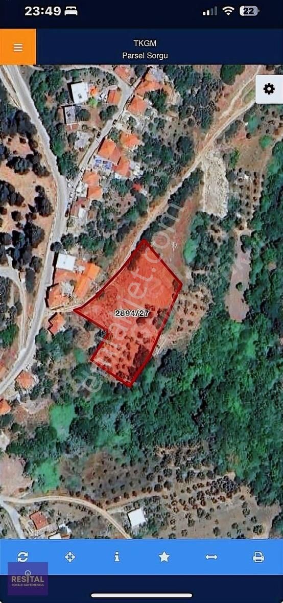 Mudanya Yalıçiftlikte Köye 100 Metre Mesafede Fırsat Zeytinlik - Görsel 2