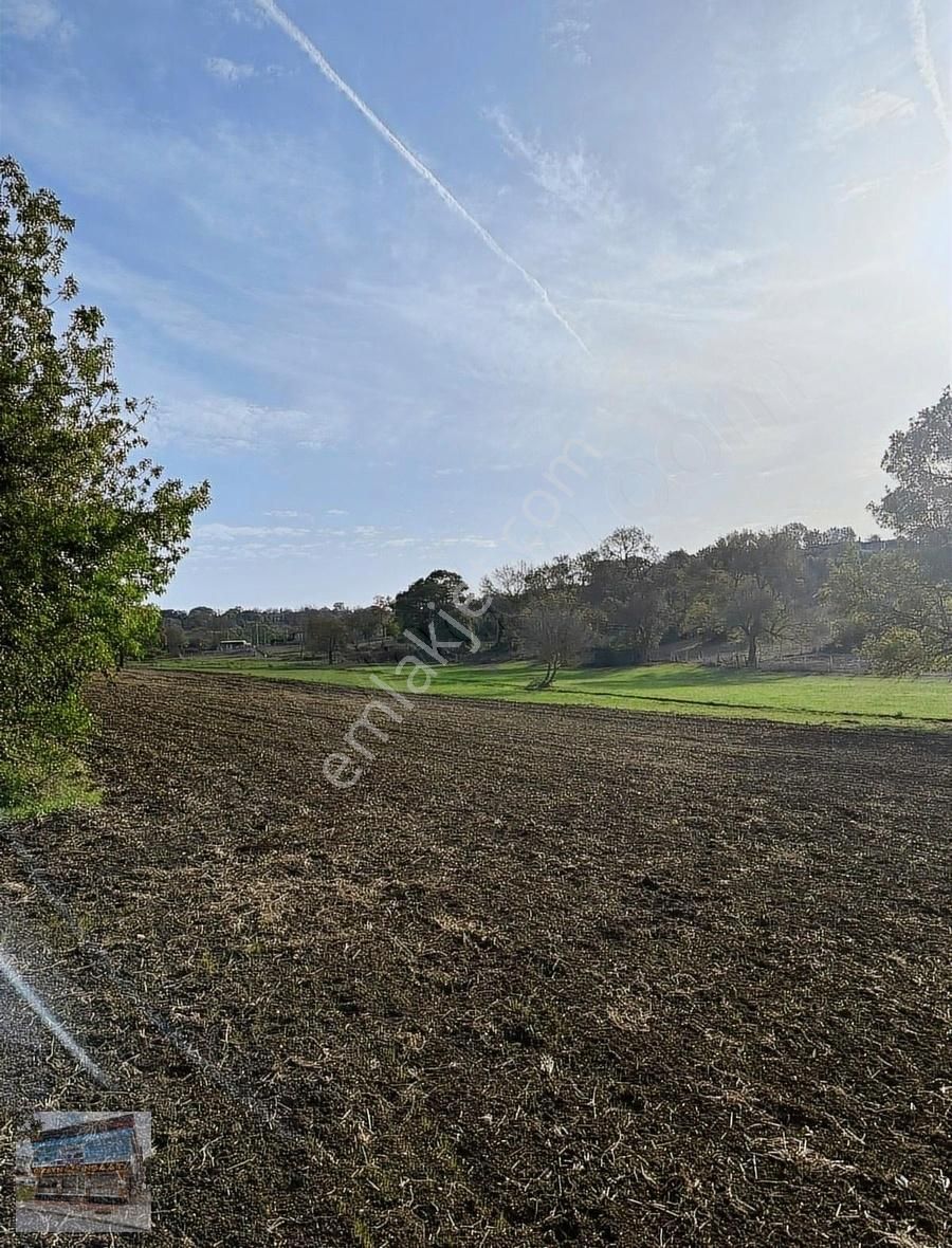 Arnavutköy Balabanda Doğa Harikası 3680 Metre Satılık Arsa - Görsel 6