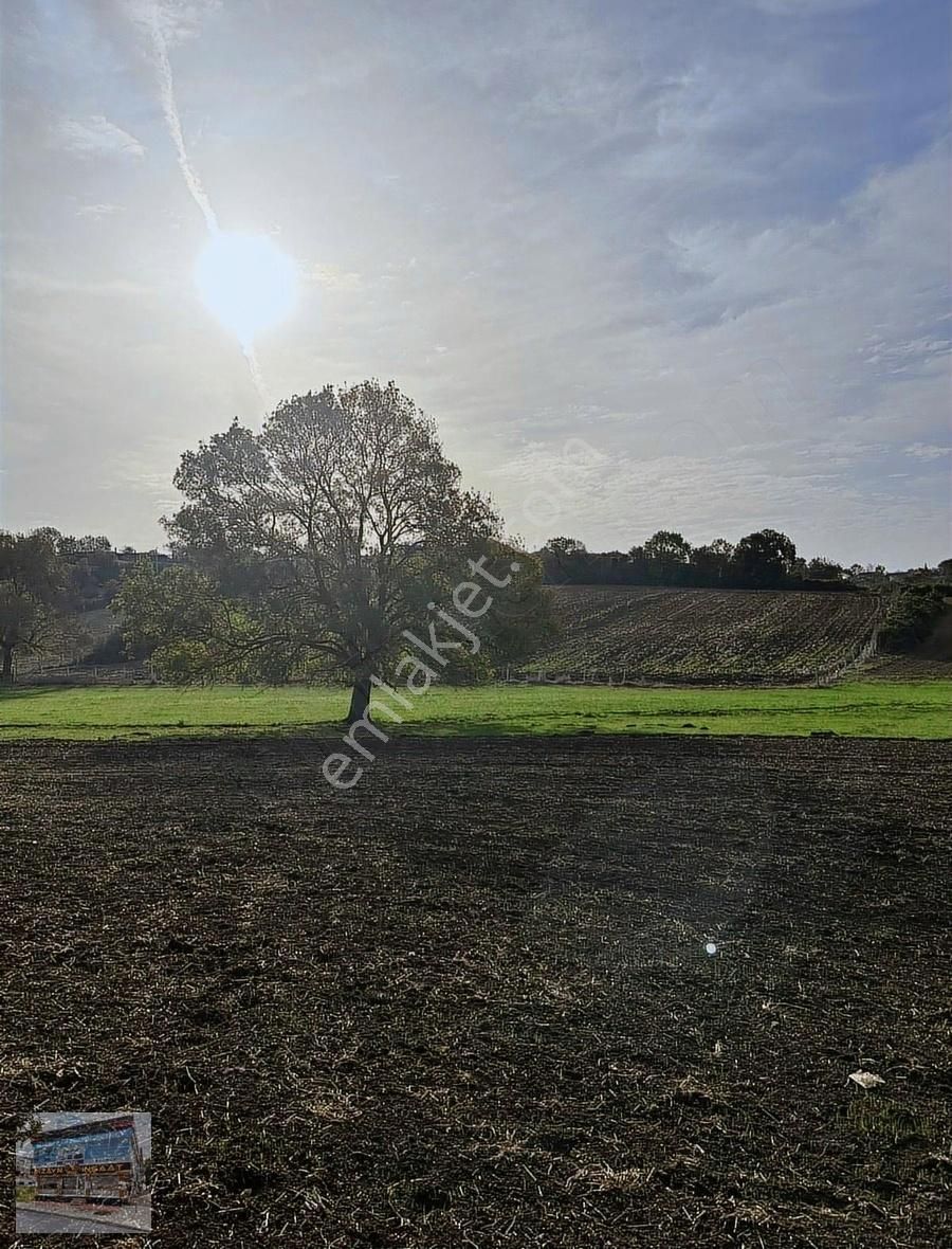 Arnavutköy Balabanda Doğa Harikası 3680 Metre Satılık Arsa - Görsel 5