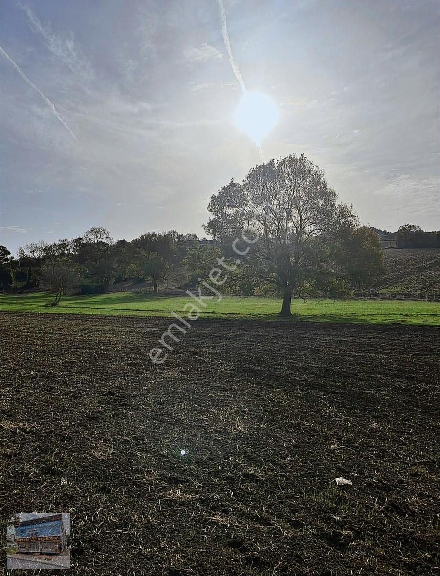 Arnavutköy Balabanda Doğa Harikası 3680 Metre Satılık Arsa - Görsel 2