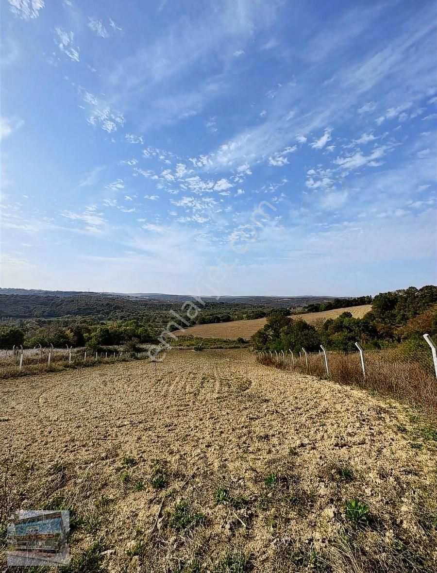 Arnavutköy Balabanda Doğa Harikası 3360 Metre Satılık Arsa