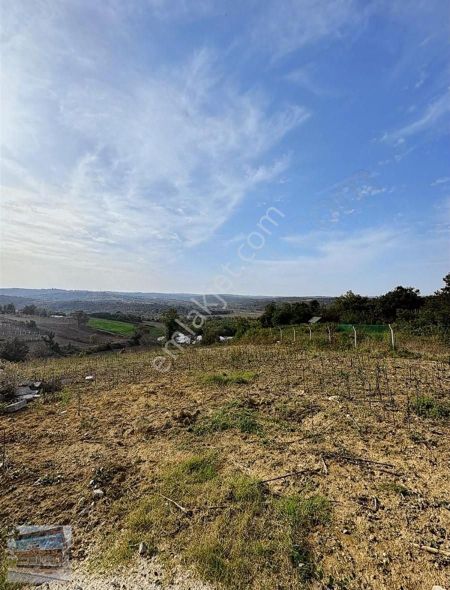 Arnavutköy Balabanda Doğa Harikası 7620 Metre Satılık Arsa