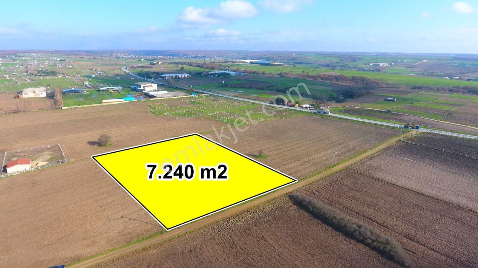 Ege Gayrimenkul'den. Büyükçavuşlu'da 7240 M² Tarla