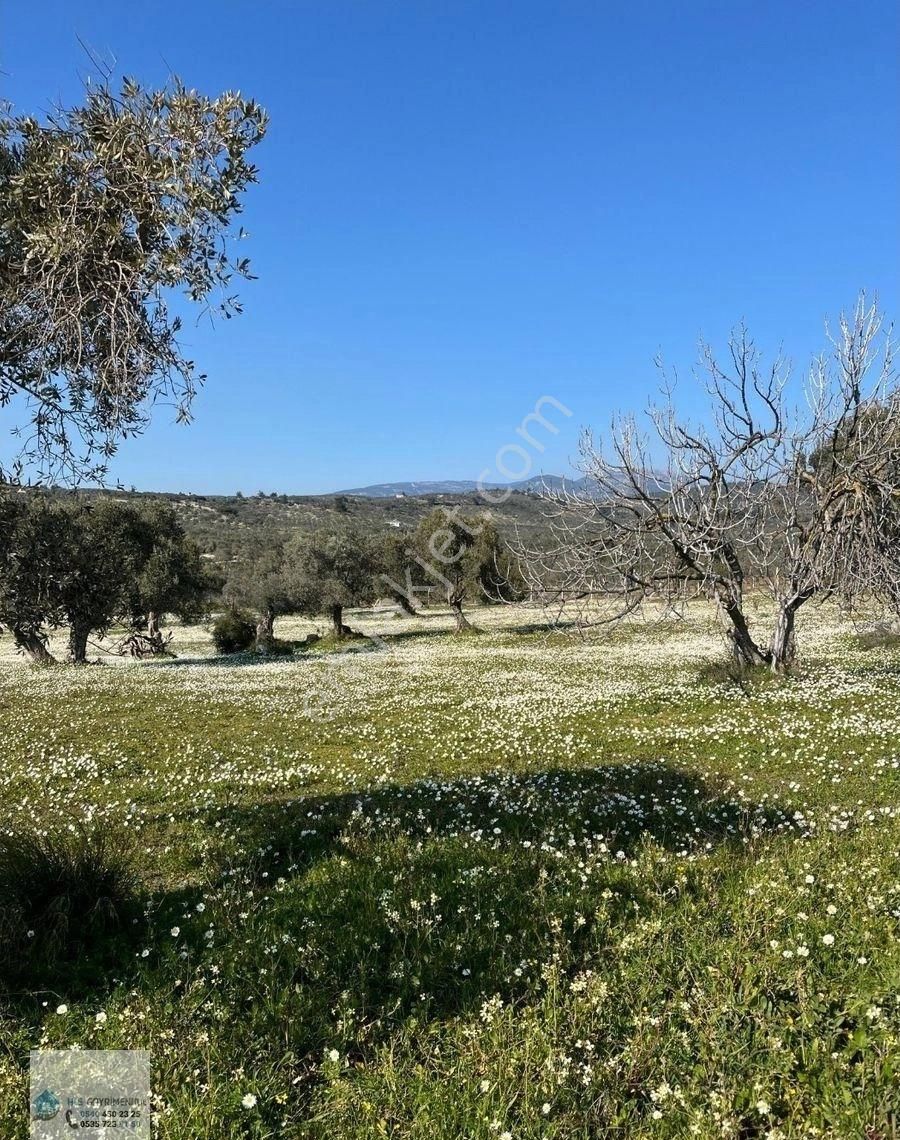 🌟🏡 Doğanın Renkleriyle Bezeli, Hayatın Yeni Başlangıcı Yazıbaşı Köyü! 🌿🍎 - Görsel 5