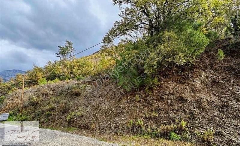 Alanya Sapadere Kanyonun Yanında Köy Evi Yapmaya Uygun Tarla! - Görsel 4