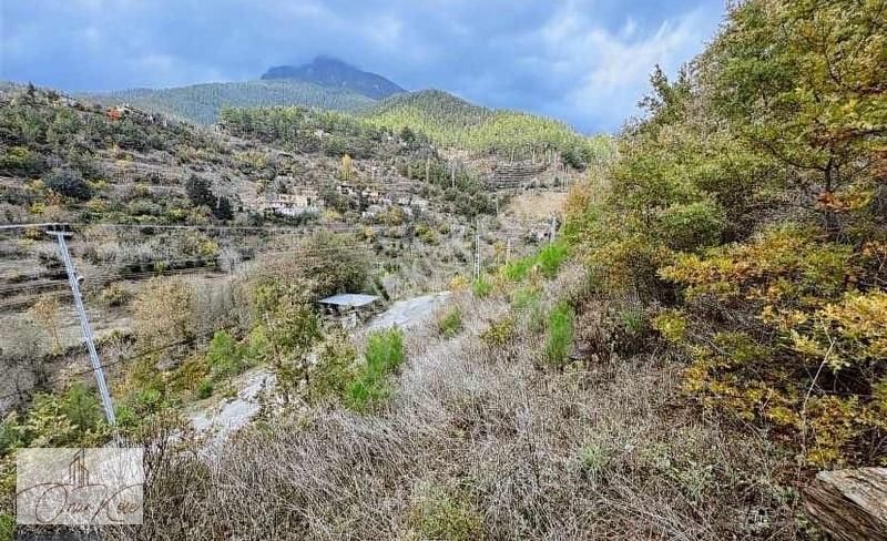 Alanya Sapadere Kanyonun Yanında Köy Evi Yapmaya Uygun Tarla! - Görsel 3