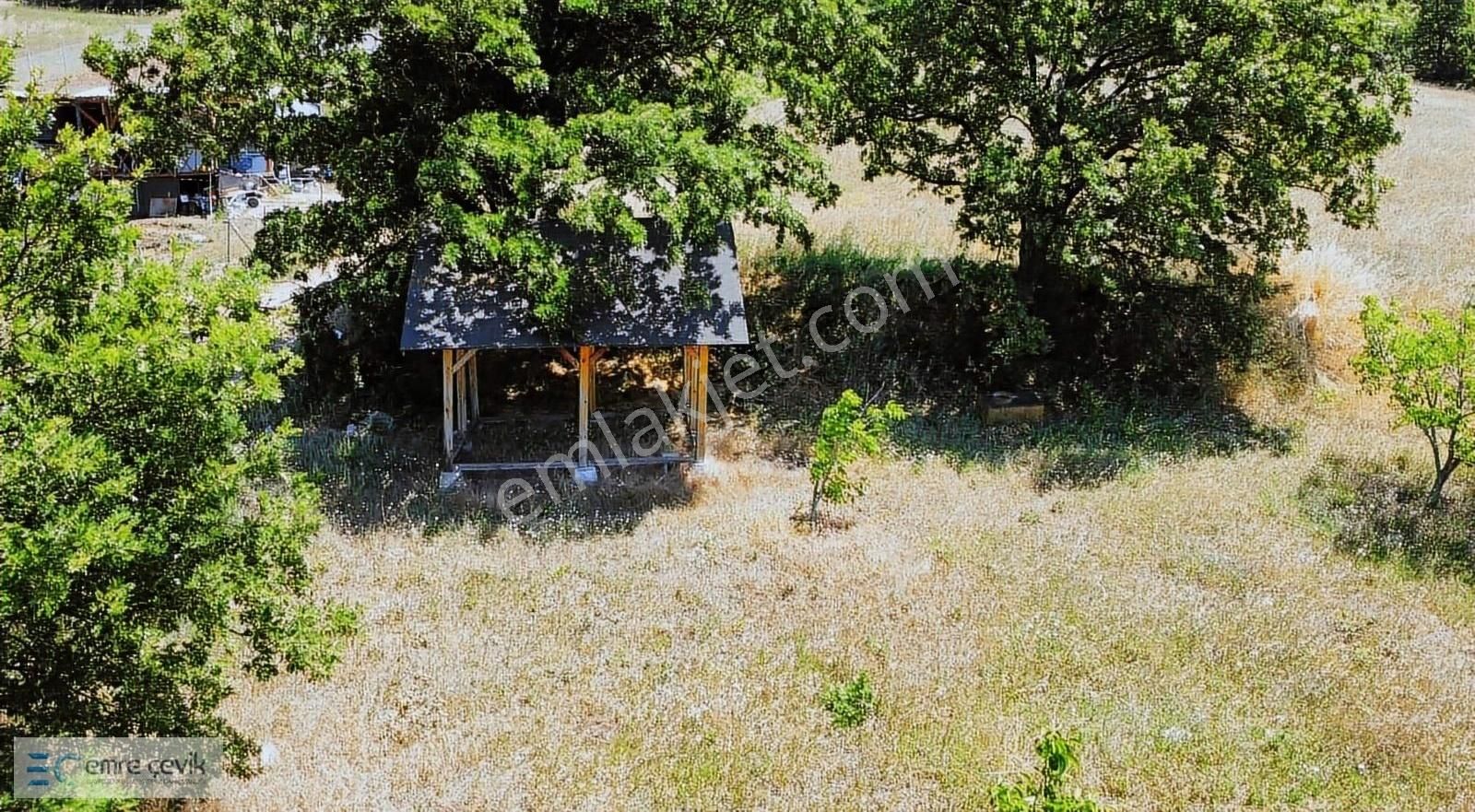 Emre Çevik'den Yenişehir Kavaklı Göleti Yanında Ceviz Bahçesi - Görsel 27