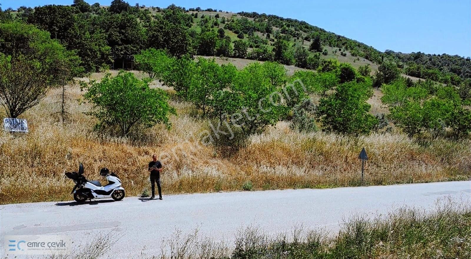 Emre Çevik'den Yenişehir Kavaklı Göleti Yanında Ceviz Bahçesi - Görsel 4