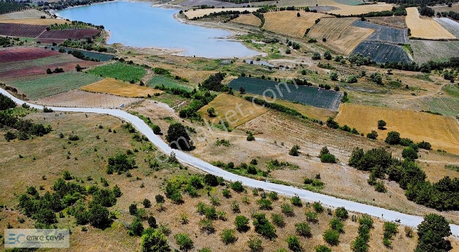 Emre Çevik'den Yenişehir Kavaklı Göleti Yanında Ceviz Bahçesi - Görsel 15