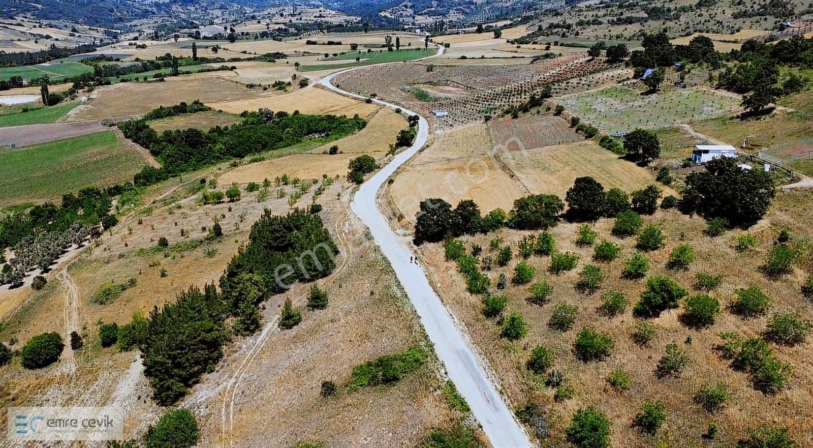 Emre Çevik'den Yenişehir Kavaklı Göleti Yanında Ceviz Bahçesi - Görsel 16