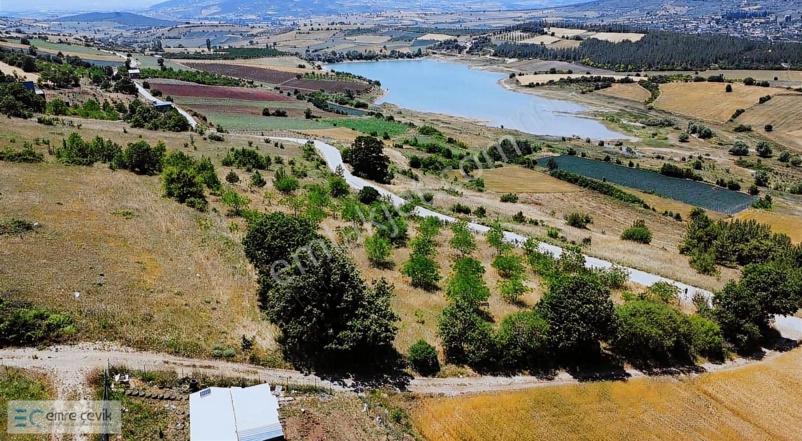 Emre Çevik'den Yenişehir Kavaklı Göleti Yanında Ceviz Bahçesi - Görsel 9