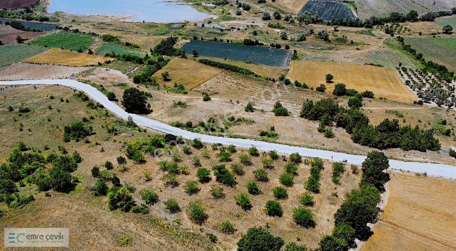 Emre Çevik'den Yenişehir Kavaklı Göleti Yanında Ceviz Bahçesi - Görsel 18