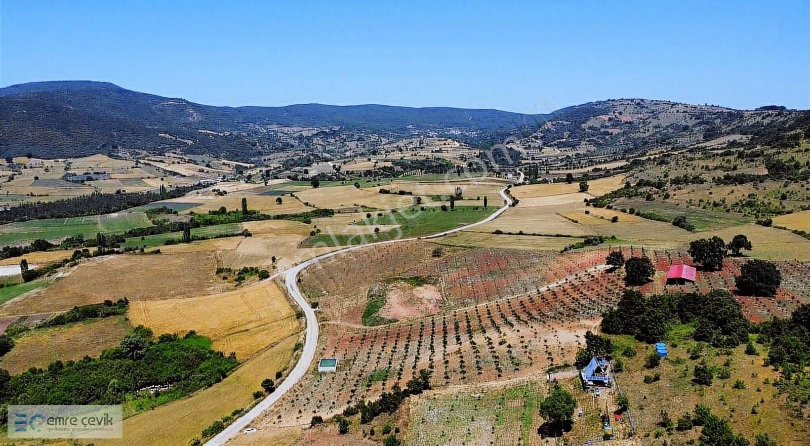 Emre Çevik'den Yenişehir Kavaklı Göleti Yanında Ceviz Bahçesi - Görsel 11