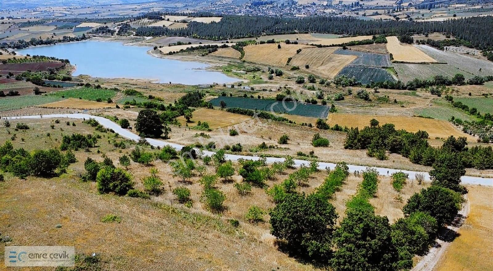 Emre Çevik'den Yenişehir Kavaklı Göleti Yanında Ceviz Bahçesi - Görsel 22