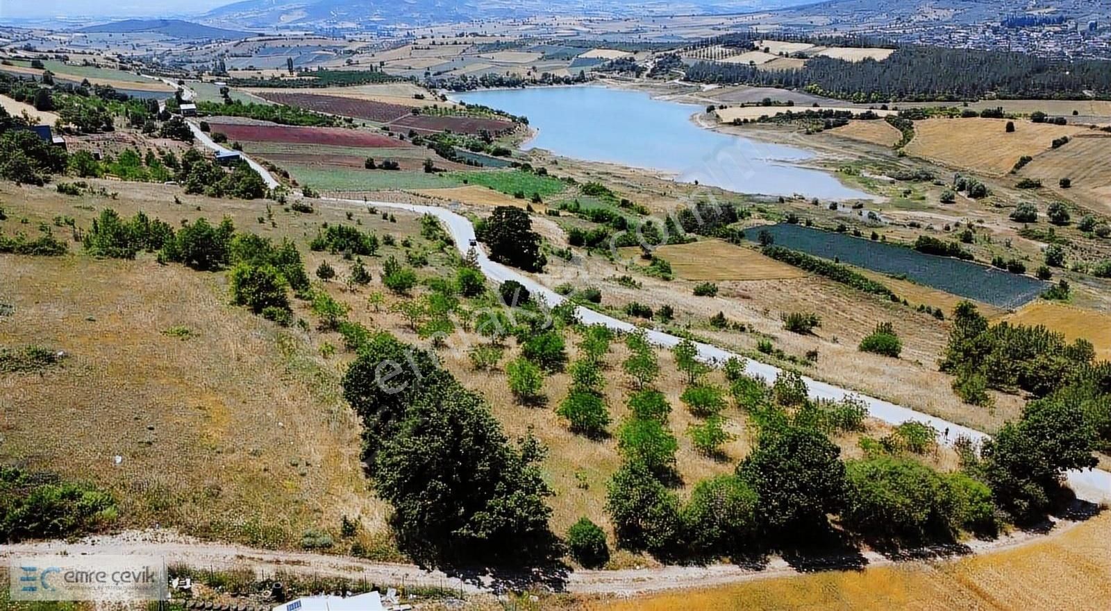 Emre Çevik'den Yenişehir Kavaklı Göleti Yanında Ceviz Bahçesi - Görsel 14
