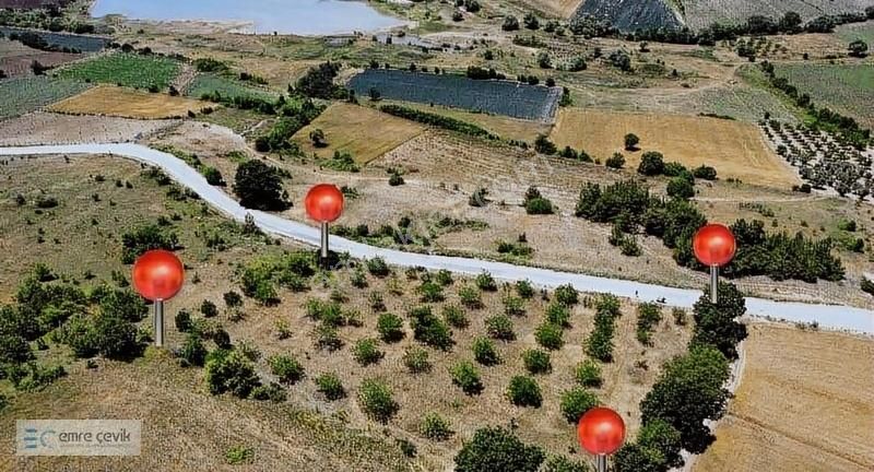 Emre Çevik'den Yenişehir Kavaklı Göleti Yanında Ceviz Bahçesi - Görsel 21