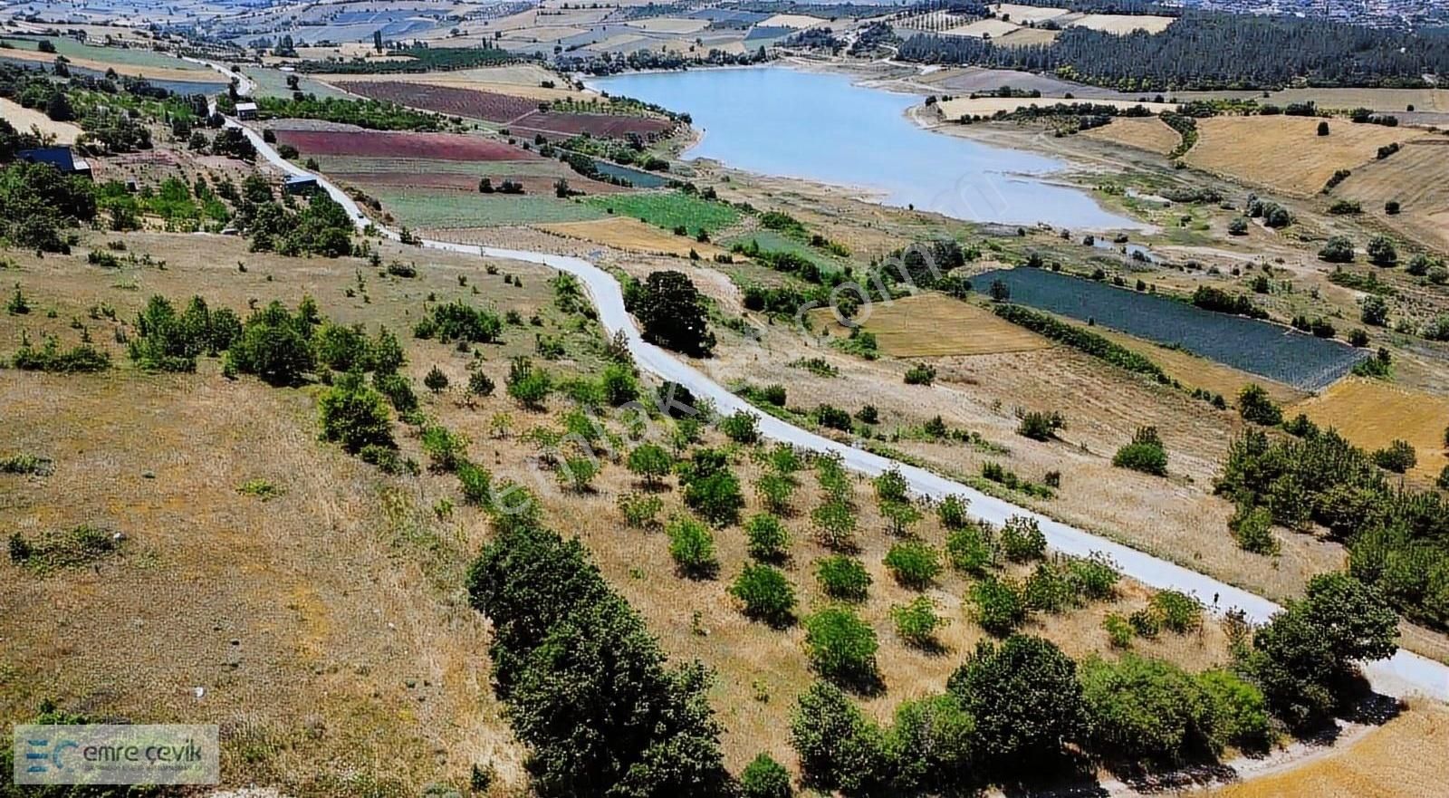 Emre Çevik'den Yenişehir Kavaklı Göleti Yanında Ceviz Bahçesi - Görsel 24