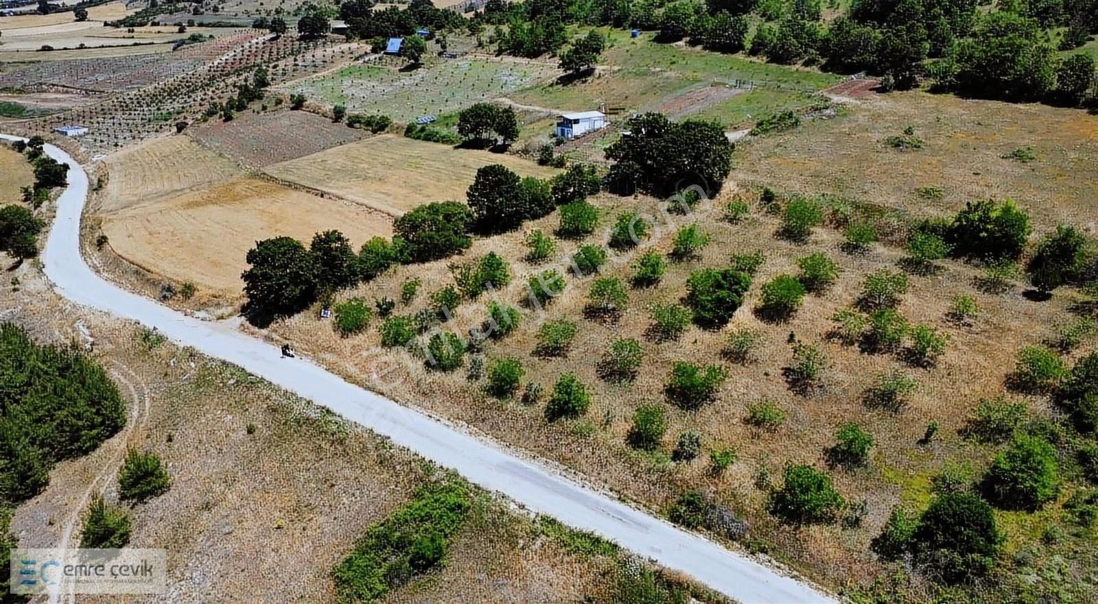 Emre Çevik'den Yenişehir Kavaklı Göleti Yanında Ceviz Bahçesi - Görsel 25