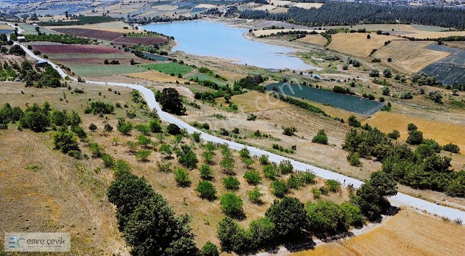 Emre Çevik'den Yenişehir Kavaklı Göleti Yanında Ceviz Bahçesi - Görsel 19