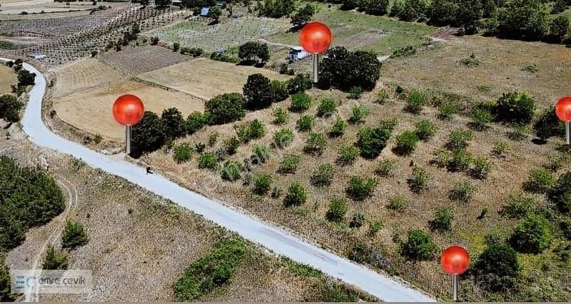 Emre Çevik'den Yenişehir Kavaklı Göleti Yanında Ceviz Bahçesi