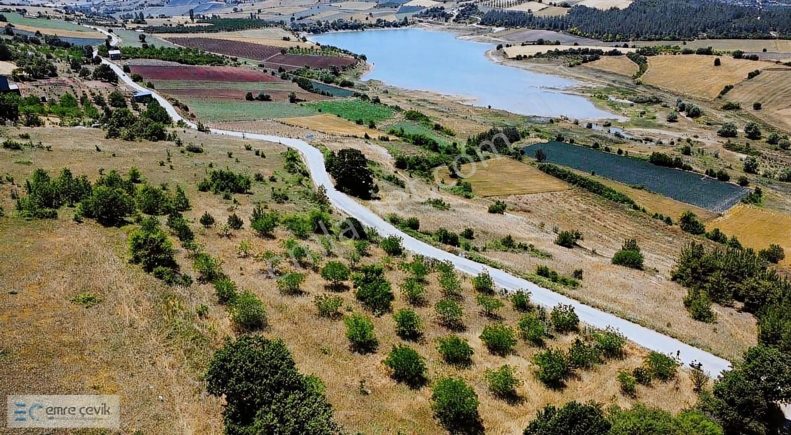 Emre Çevik'den Yenişehir Kavaklı Göleti Yanında Ceviz Bahçesi - Görsel 13