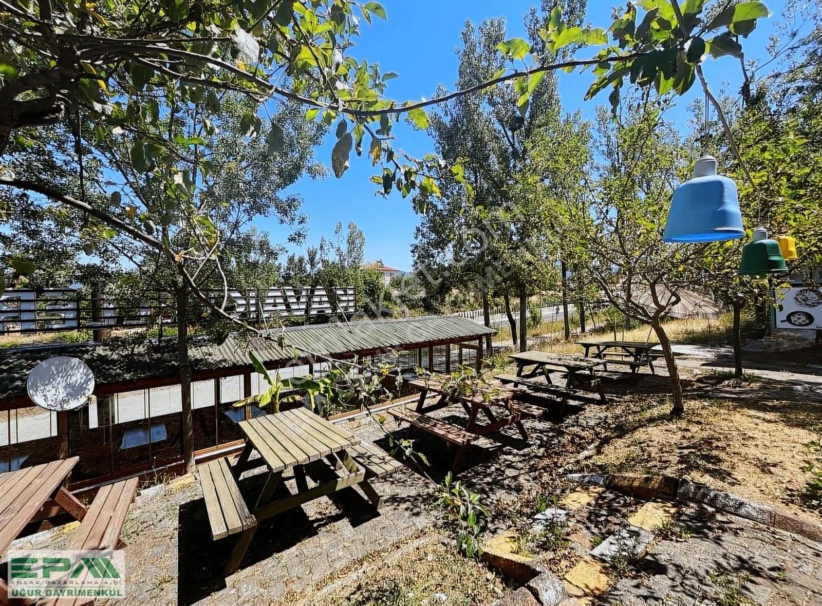 | Epa Uğur Düzce | Bolu Dağı D-100 Cephe Restoran Devir Ücretsiz - Görsel 21