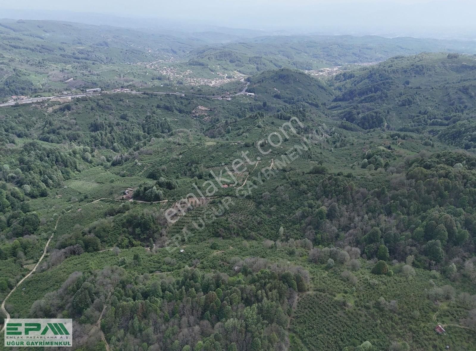 Epa Uğur'dan 12.785 M² Akçakoca Yolu Üzeri Satılık Fındıklık