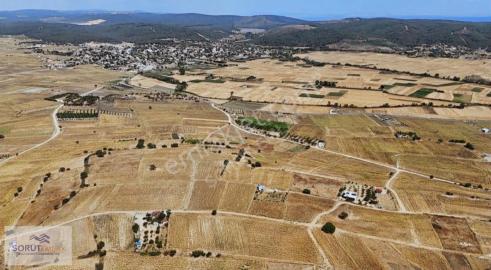 Mecidiye Köy'e Ve Sahile Yakın Konumda 1.063 M2 Satılık Tarla