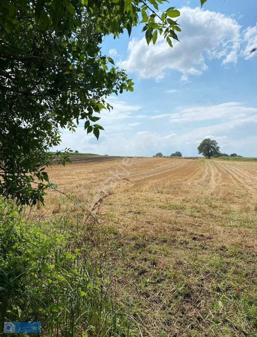 Hazar Gayrimenkul'den Bursa Yenişehir'de 3110 M2 Arsa - Görsel 7