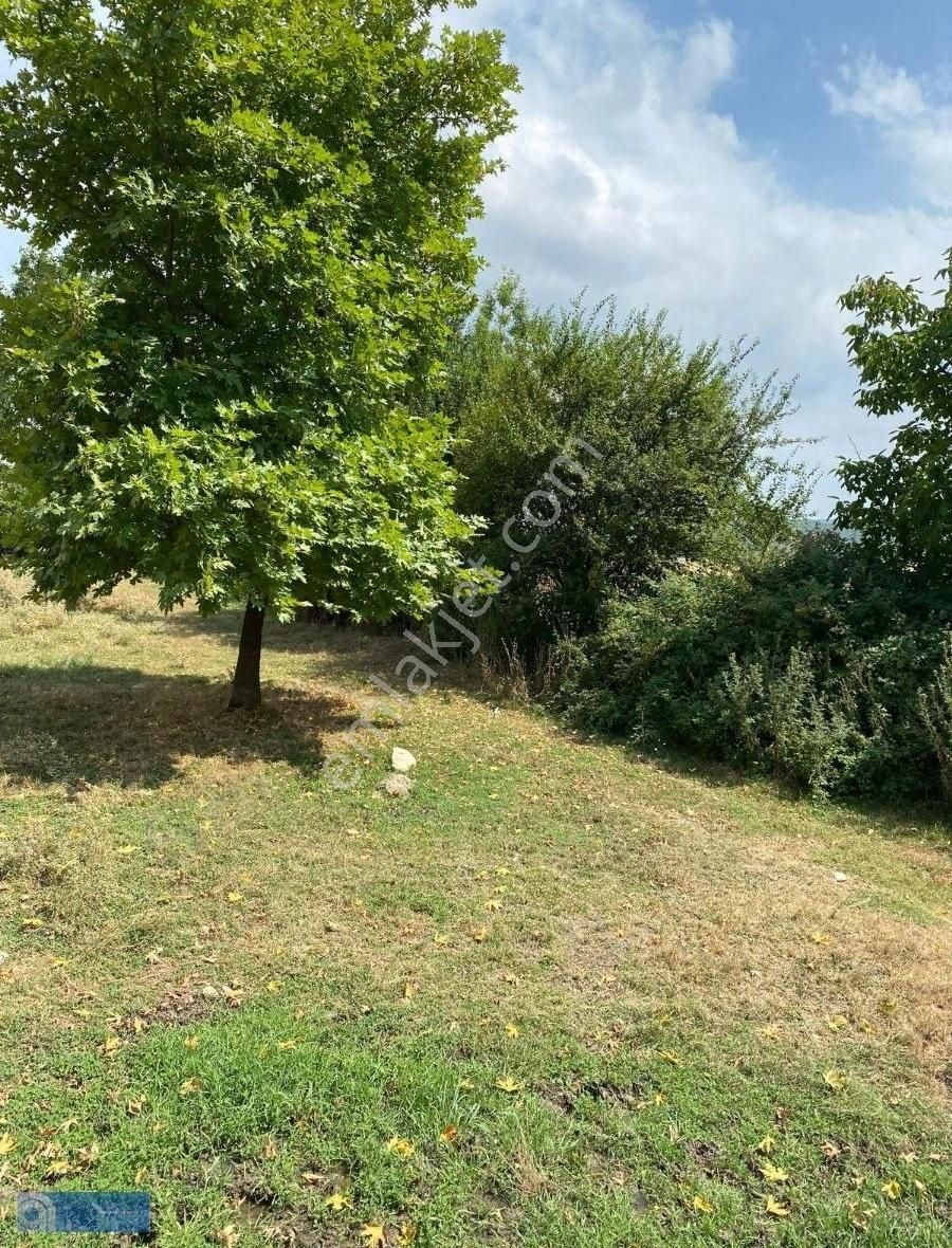 Hazar Gayrimenkul'den Bursa Yenişehir'de 3110 M2 Arsa - Görsel 9