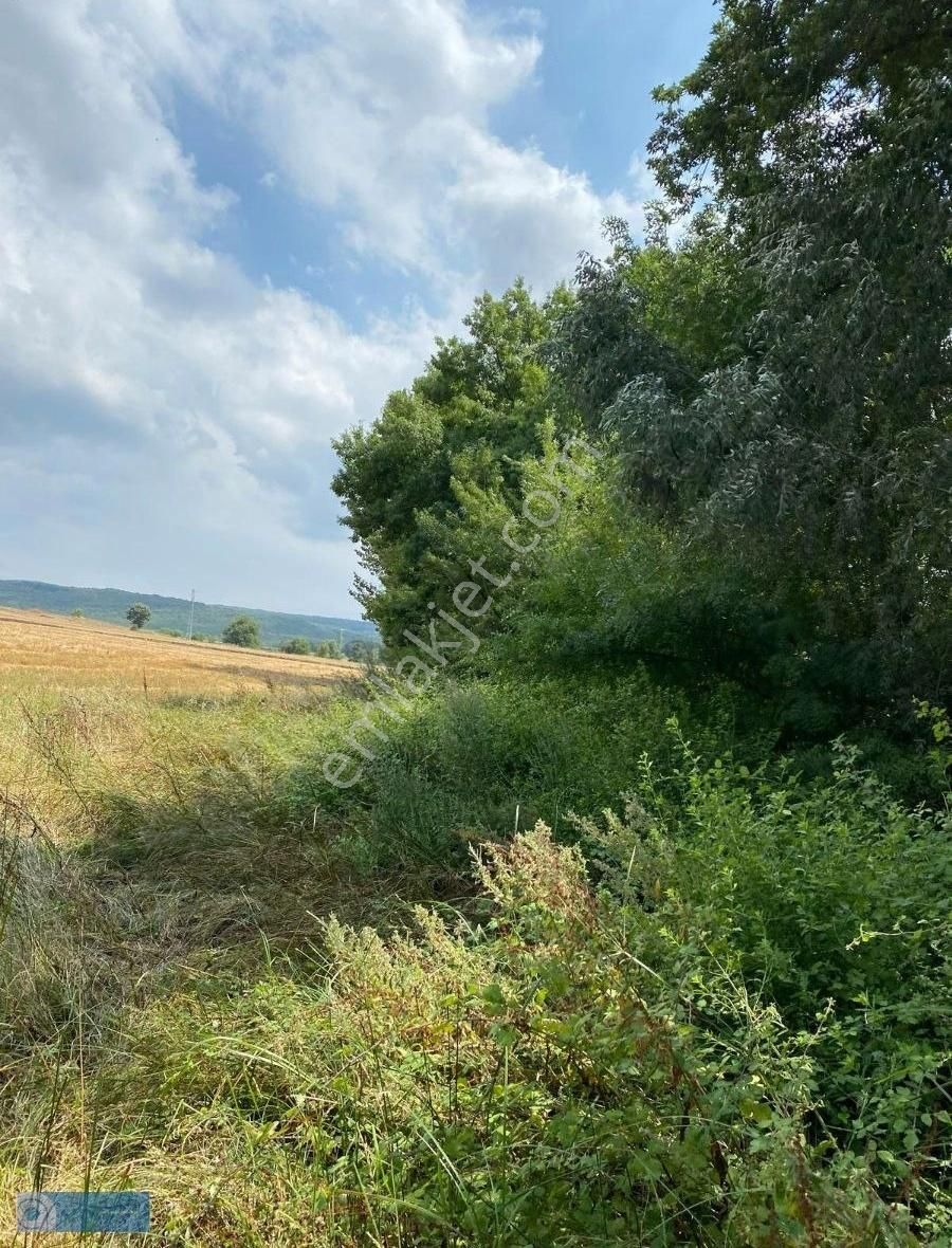 Hazar Gayrimenkul'den Bursa Yenişehir'de 3110 M2 Arsa - Görsel 8