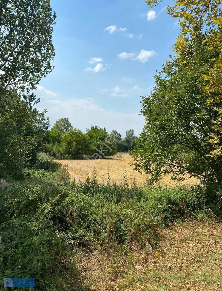 Hazar Gayrimenkul'den Bursa Yenişehir'de 3110 M2 Arsa - Görsel 6