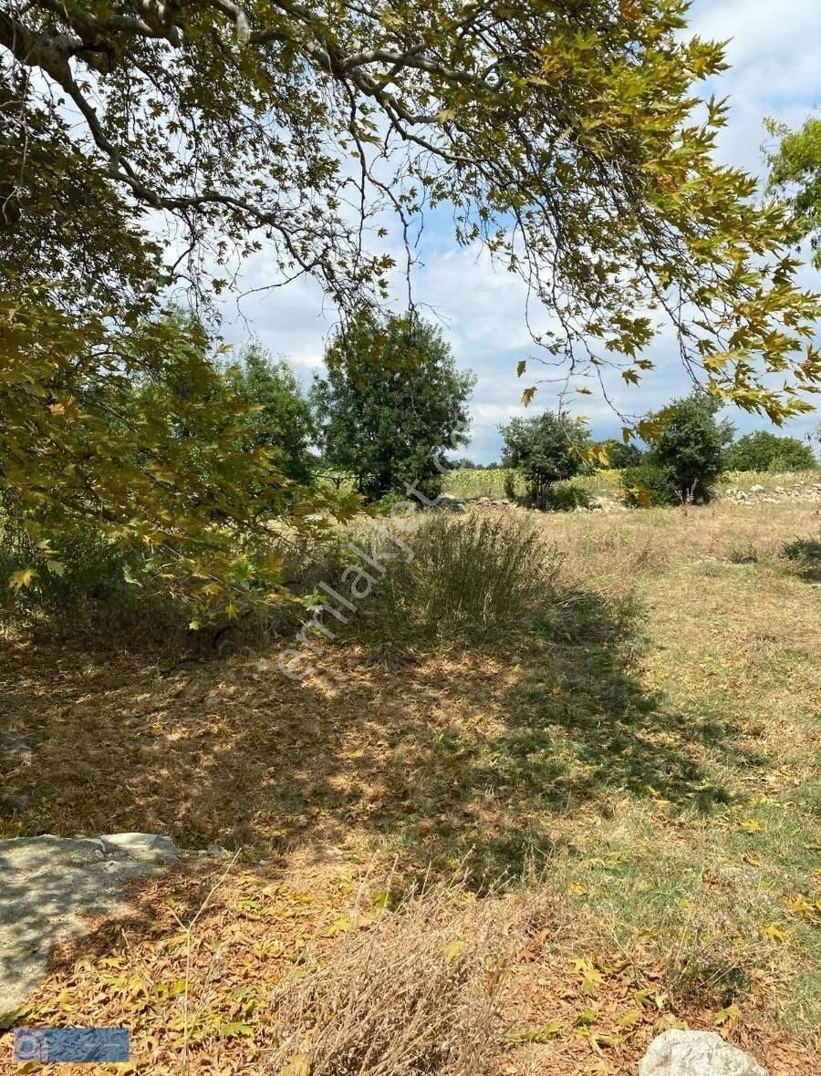 Hazar Gayrimenkul'den Bursa Yenişehir'de 3110 M2 Arsa - Görsel 2