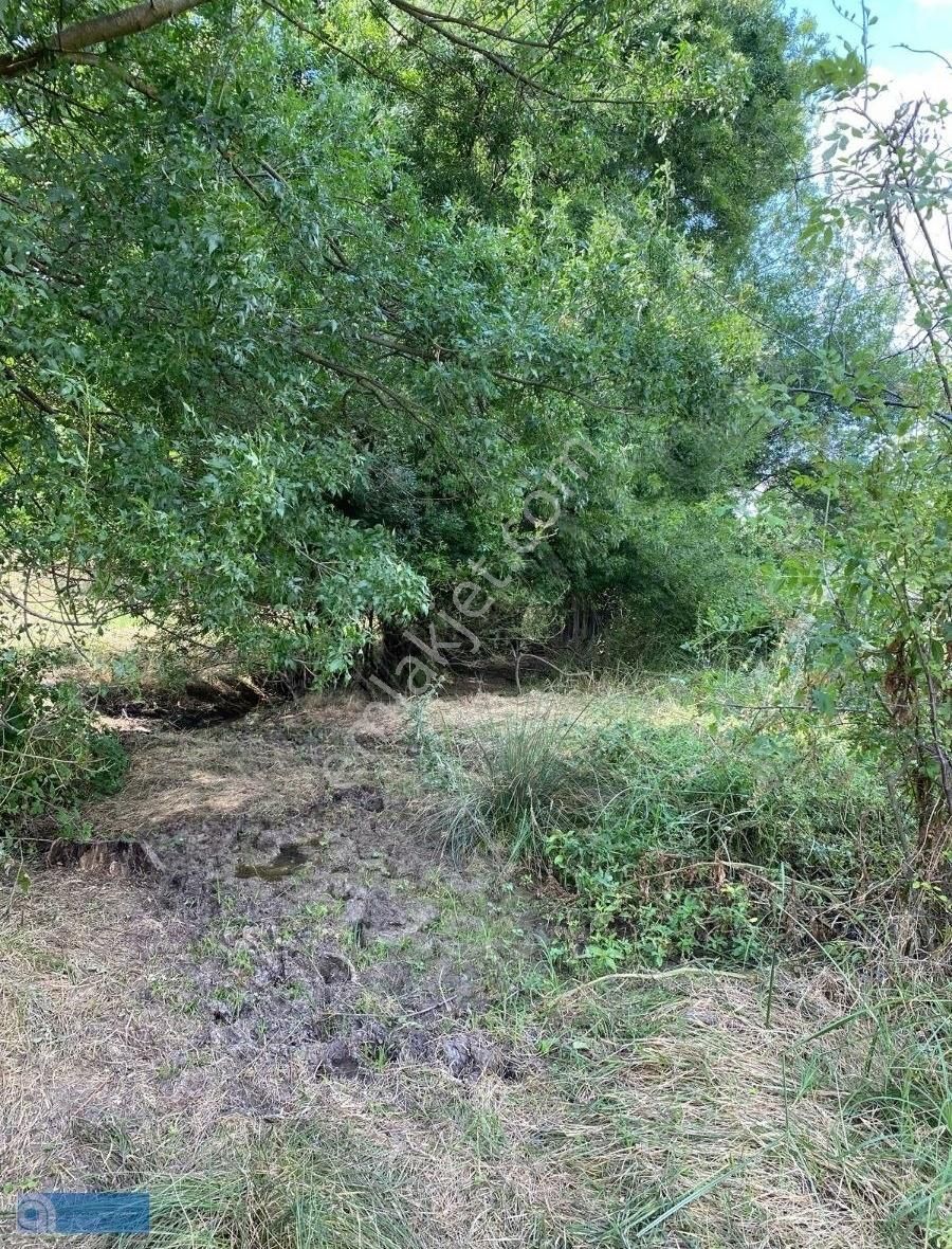 Hazar Gayrimenkul'den Bursa Yenişehir'de 3110 M2 Arsa - Görsel 5