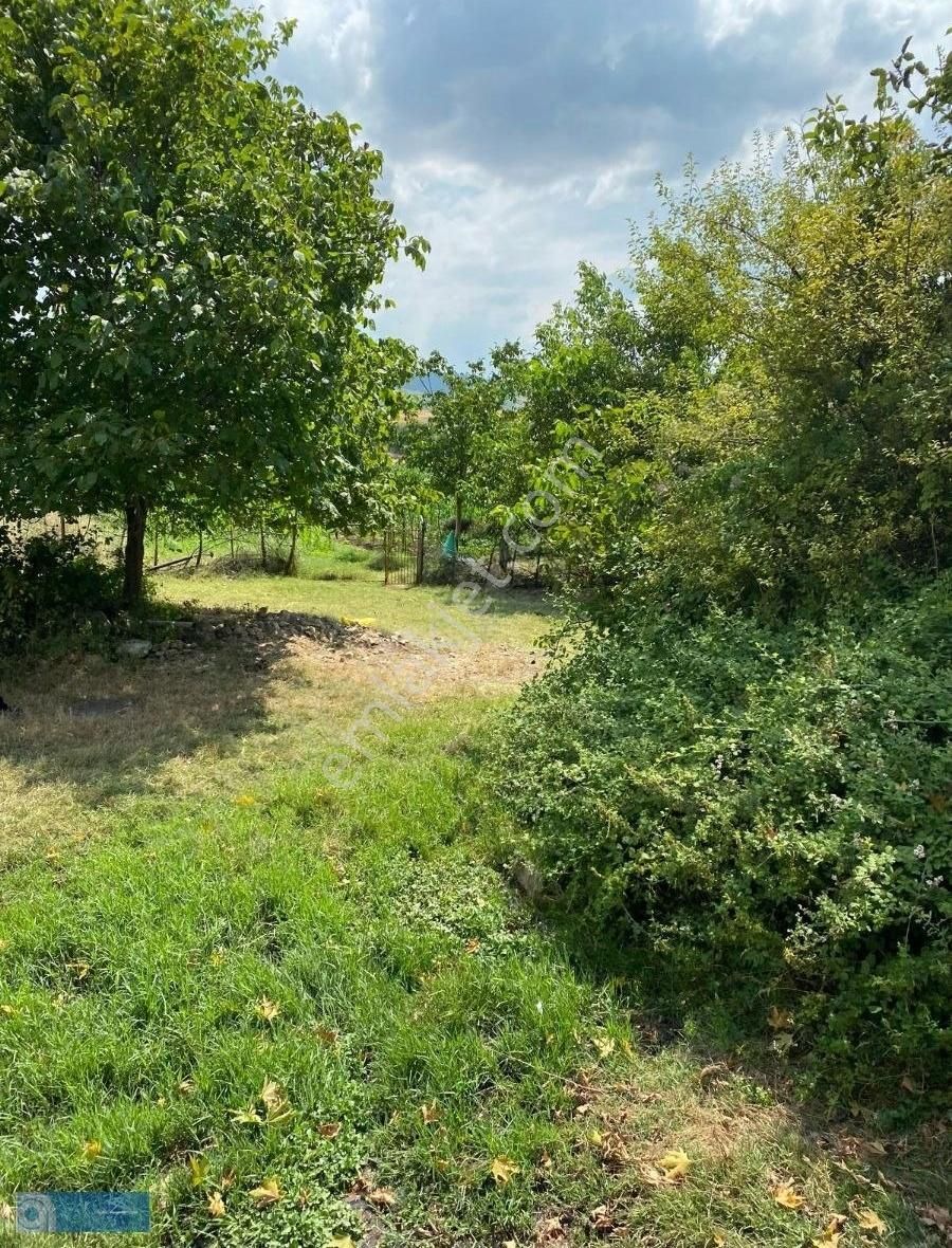 Hazar Gayrimenkul'den Bursa Yenişehir'de 3110 M2 Arsa - Görsel 3