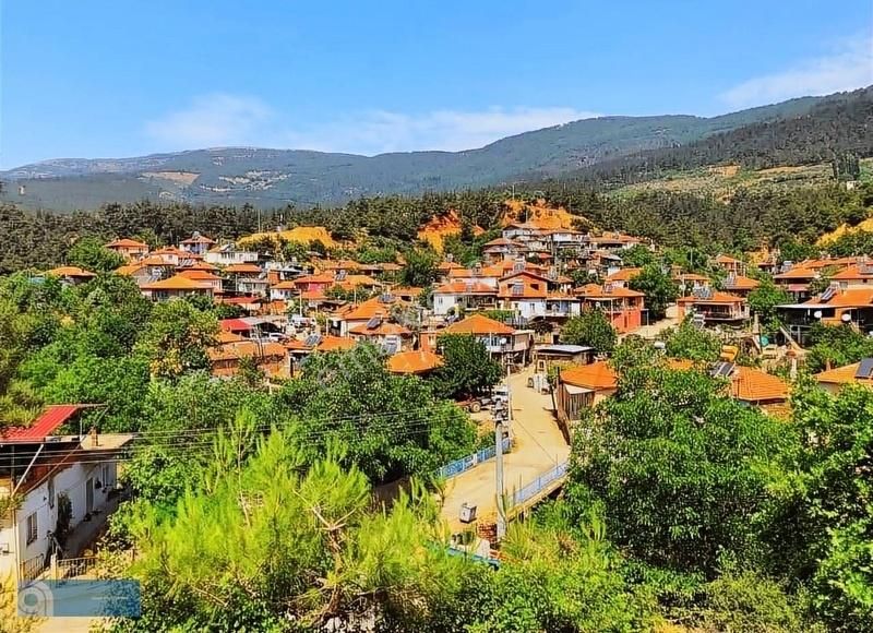 İzmir Bayındır Keçili'de 5400 M2 Zeytinlik - Görsel 4
