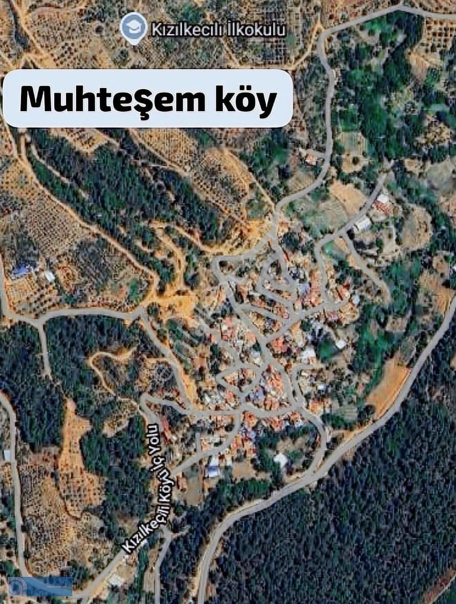 İzmir Bayındır Keçili'de 5400 M2 Zeytinlik - Görsel 2