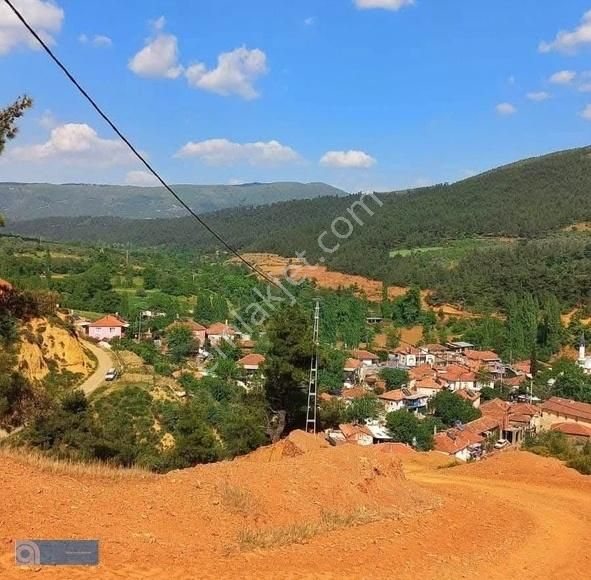 İzmir Bayındır Keçili'de 5400 M2 Zeytinlik - Görsel 9
