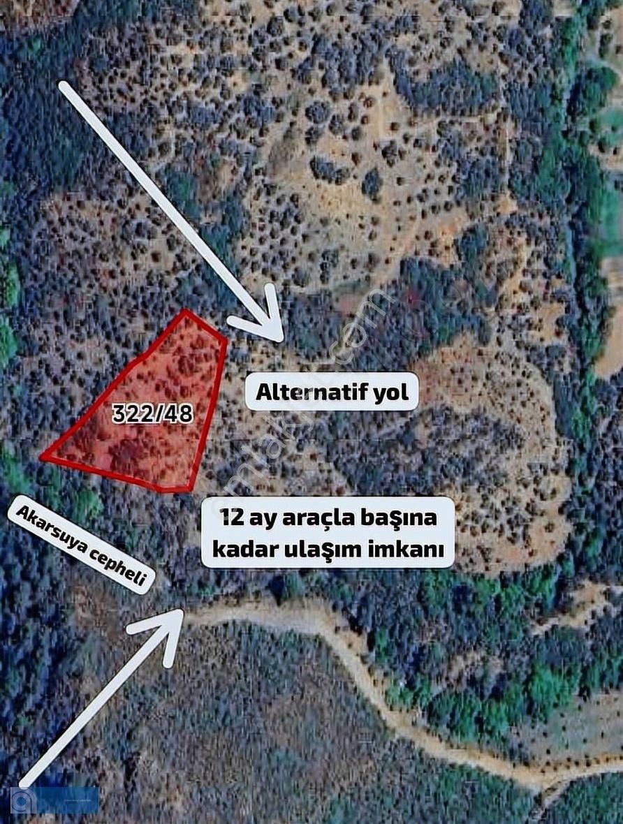 İzmir Bayındır Keçili'de 5400 M2 Zeytinlik - Görsel 7