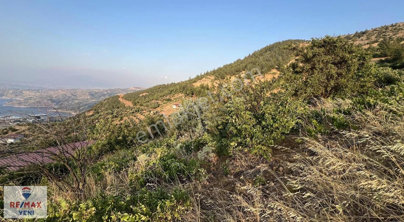 Re/max Yeni'den Hobi&hayvancılığa Uygun Satılık Bağ - Görsel 11